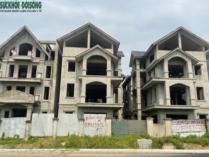 Cảnh hoang tàn, xuống cấp của khu biệt thự triệu đô ở Hà Nội- Ảnh 9.