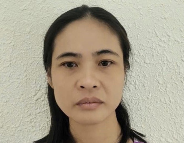 Nữ phiên dịch kiêm giúp việc nhà lừa tiền ông chủ- Ảnh 1.