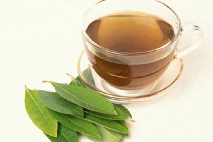 Uống nước vối mỗi ngày có tốt không?- Ảnh 1.