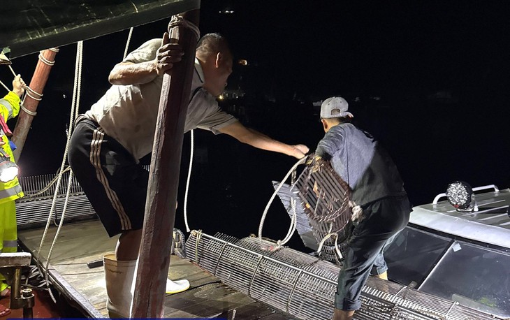 Khai thác thủy sản trái phép, nhiều chủ tàu cá bị xử phạt- Ảnh 1. Khai thác thủy sản trái phép, nhiều chủ tàu cá bị xử phạt- Ảnh 1.