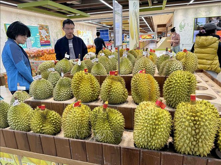 Khả năng cơn sốt sầu riêng tại Trung Quốc thoái trào- Ảnh 1.