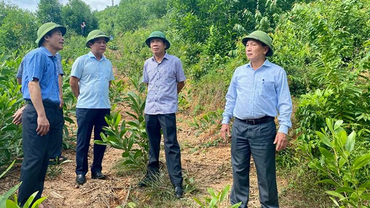 Người dân Quảng Bình bất an với nguy cơ sạt lở sau bão lũ- Ảnh 4.