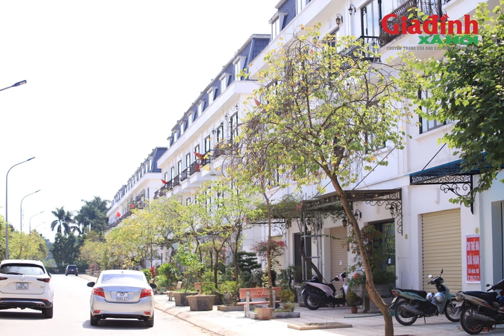 Để chống lãng phí, Hà Nội yêu cầu rà soát các dự án, công trình 'đắp chiếu', bỏ hoang- Ảnh 1.