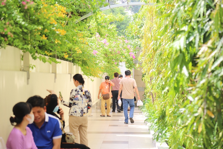 Bệnh viện Đại học Y Dược TPHCM: Điểm sáng trong xây dựng
cơ sở y tế xanh - Ảnh 2. Bệnh viện Đại học Y Dược TPHCM: Điểm sáng trong xây dựng
cơ sở y tế xanh - Ảnh 2.