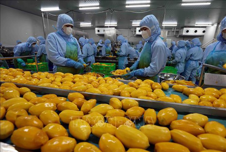 Nông sản Việt nhiều cơ hội thâm nhập thị trường Halal- Ảnh 1. Nông sản Việt nhiều cơ hội thâm nhập thị trường Halal- Ảnh 1.