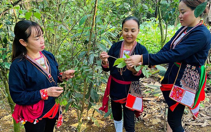Cao Bằng đẩy mạnh chính sách y tế hướng đến người nghèo vùng cao- Ảnh 3.