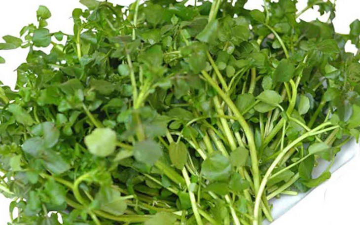 5 lợi ích sức khỏe bất ngờ của rau cải xoong