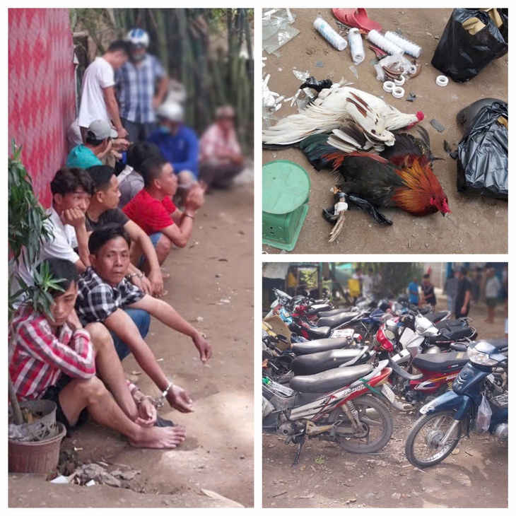 Triệt phá tụ điểm đá gà ăn tiền, bắt giữ 11 đối tượng- Ảnh 1. Triệt phá tụ điểm đá gà ăn tiền, bắt giữ 11 đối tượng- Ảnh 1.