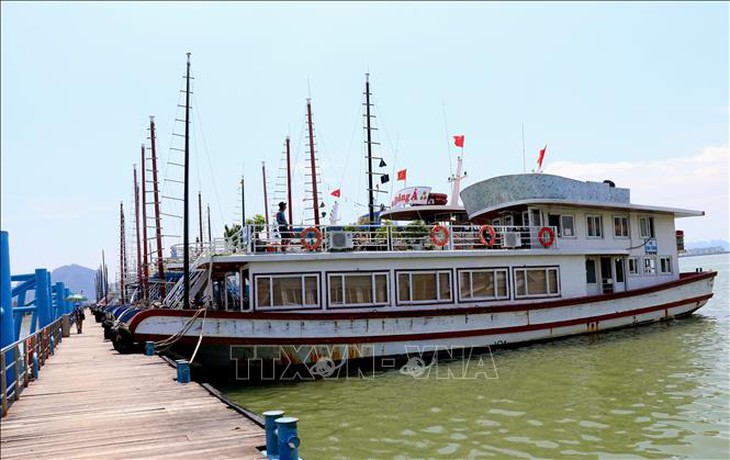 Đề xuất doanh nghiệp thiệt hại do bão Yagi có thể được tạm dừng đóng bảo hiểm xã hội- Ảnh 1. Đề xuất doanh nghiệp thiệt hại do bão Yagi có thể được tạm dừng đóng bảo hiểm xã hội- Ảnh 1.