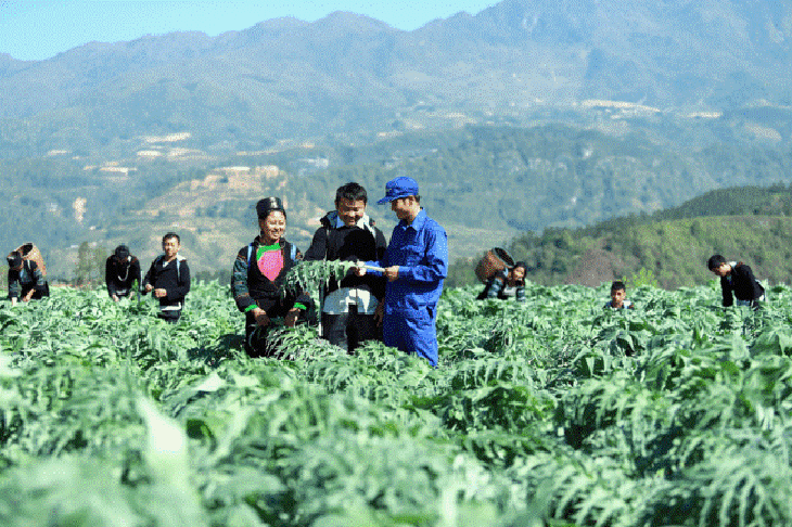 Traphaco đạt "Top 10 doanh nghiệp bền vững CSI" năm 2024- Ảnh 2. Traphaco đạt "Top 10 doanh nghiệp bền vững CSI" năm 2024- Ảnh 2.