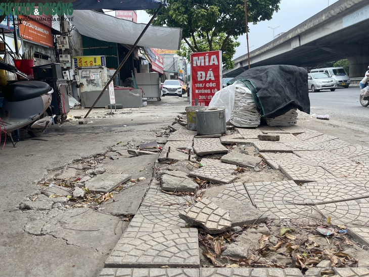 Vỉa hè đường Nguyễn Xiển xuống cấp nghiêm trọng, gạch lát nát tươm- Ảnh 2. Vỉa hè đường Nguyễn Xiển xuống cấp nghiêm trọng, gạch lát nát tươm- Ảnh 2.