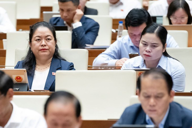 ĐBQH kiến nghị nhà thuốc bệnh viện tự quyết mua sắm thuốc, không cần qua đấu thầu- Ảnh 3.