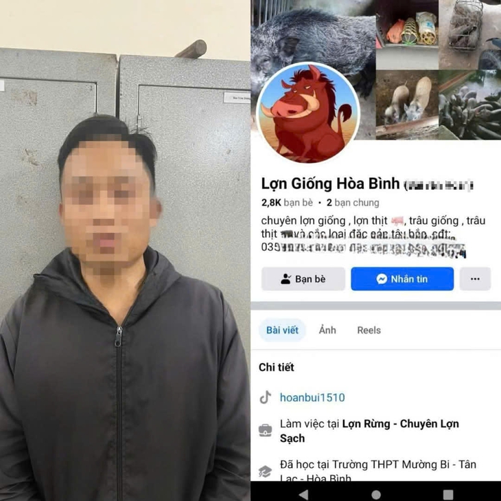 Lập Facebook 'Lợn Giống Hòa Bình' lừa tiền đặt cọc của người mua- Ảnh 1. Lừa mua bán lợn