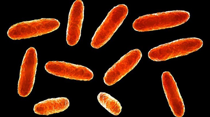 Mexico: Thêm nhiều trẻ em tử vong do nhiễm vi khuẩn Klebsiella oxytoca- Ảnh 1. Mexico: Thêm nhiều trẻ em tử vong do nhiễm vi khuẩn Klebsiella oxytoca- Ảnh 1.