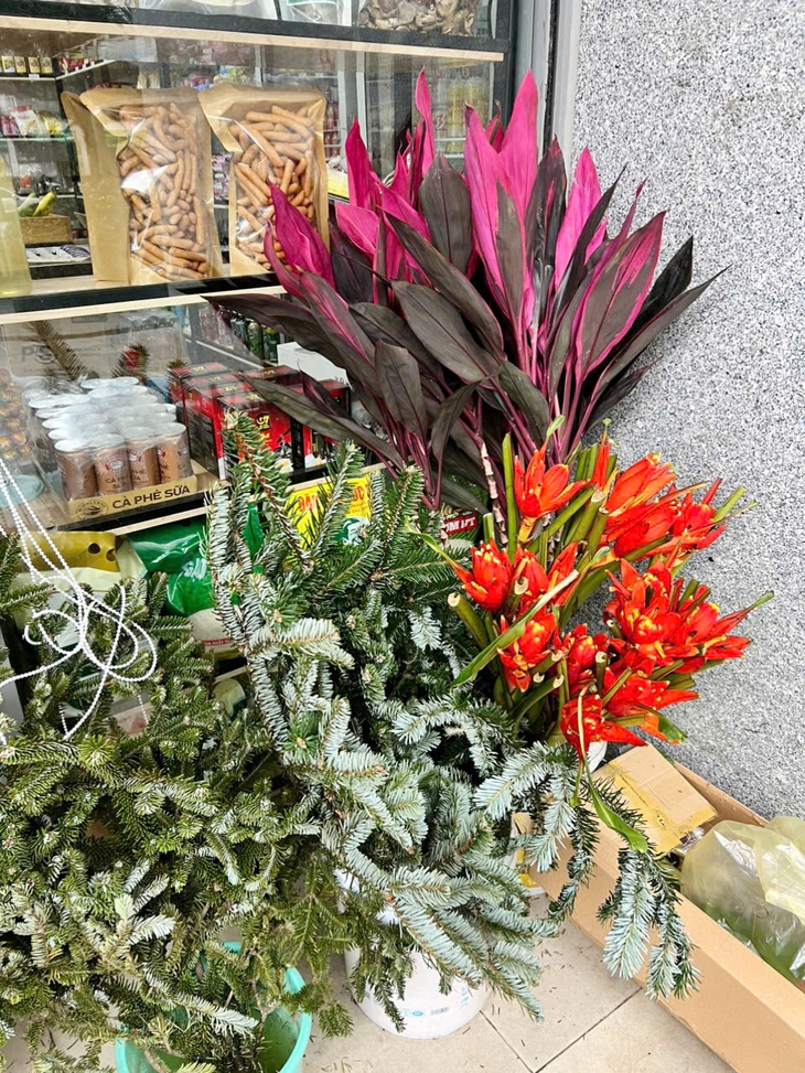 'Dàn trận' khuyến mại cuối năm 2025: Cây thông Noel nhập khẩu giá ưu đãi 99.000 đồng/set, người tiêu dùng Thủ đô 'săn lùng'- Ảnh 1. 'Dàn trận' khuyến mại cuối năm 2025: Cây thông Noel nhập khẩu giá ưu đãi 99.000 đồng/set, người tiêu dùng Thủ đô 'săn lùng'- Ảnh 1.