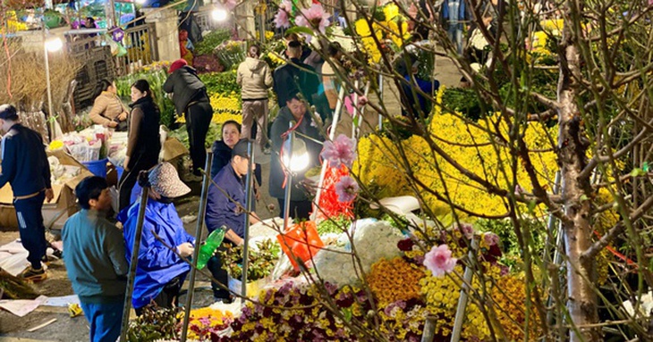 Thi trường Tết 2025: Chưa đến Tết đào, quất thi nhau xuống phố sớm phục vụ khách hàng