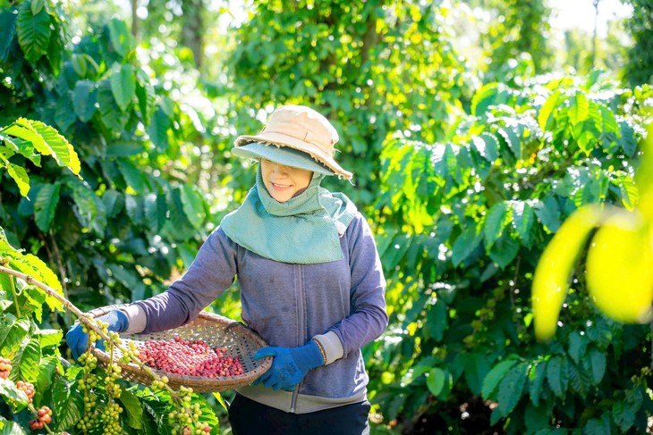 NESCAFÉ Plan được vinh danh tại Lễ trao giải Giải thưởng Hành động vì cộng đồng 2024- Ảnh 3. NESCAFÉ Plan được vinh danh tại Lễ trao giải Giải thưởng Hành động vì cộng đồng 2024- Ảnh 3.