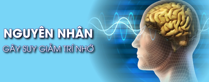 Suy giảm trí nhớ và cách khắc phục- Ảnh 2. Suy giảm trí nhớ và cách khắc phục- Ảnh 2.