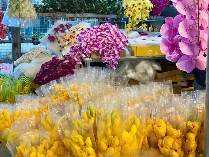 Thị trường Tết 2025: Nhiều loại hoa ‘độc lạ’ được khách hàng thi nhau săn đón tại chợ hoa lớn nhất Thủ đô- Ảnh 8. Thị trường Tết 2025: Nhiều loại hoa ‘độc lạ’ được khách hàng thi nhau săn đón tại chợ hoa lớn nhất Thủ đô- Ảnh 8.