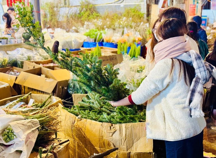 Thị trường Tết 2025: Nhiều loại hoa ‘độc lạ’ được khách hàng thi nhau săn đón tại chợ hoa lớn nhất Thủ đô- Ảnh 12. Thị trường Tết 2025: Nhiều loại hoa ‘độc lạ’ được khách hàng thi nhau săn đón tại chợ hoa lớn nhất Thủ đô- Ảnh 12.