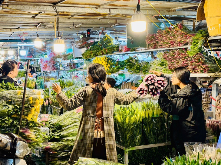 Thị trường Tết 2025: Nhiều loại hoa ‘độc lạ’ được khách hàng thi nhau săn đón tại chợ hoa lớn nhất Thủ đô- Ảnh 9. Thị trường Tết 2025: Nhiều loại hoa ‘độc lạ’ được khách hàng thi nhau săn đón tại chợ hoa lớn nhất Thủ đô- Ảnh 9.