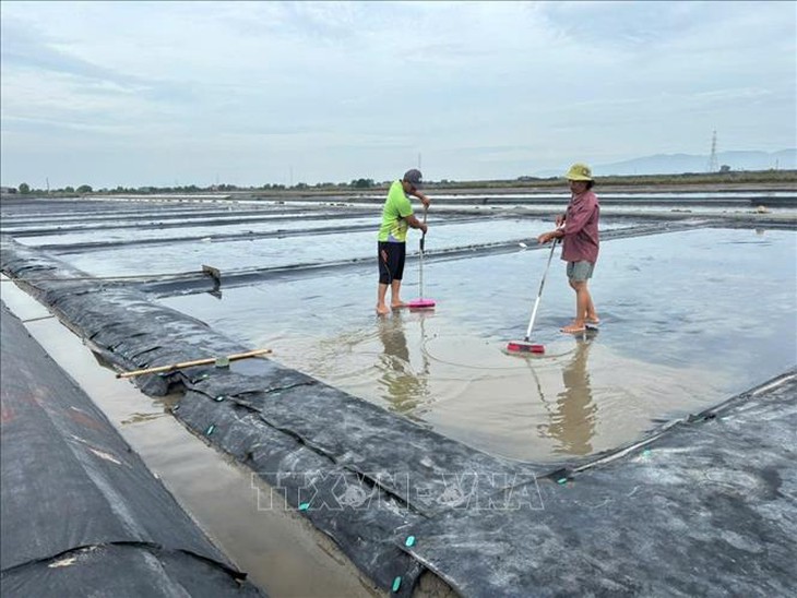 Xuất hiện mưa trái mùa, muối bị trễ vụ- Ảnh 1.