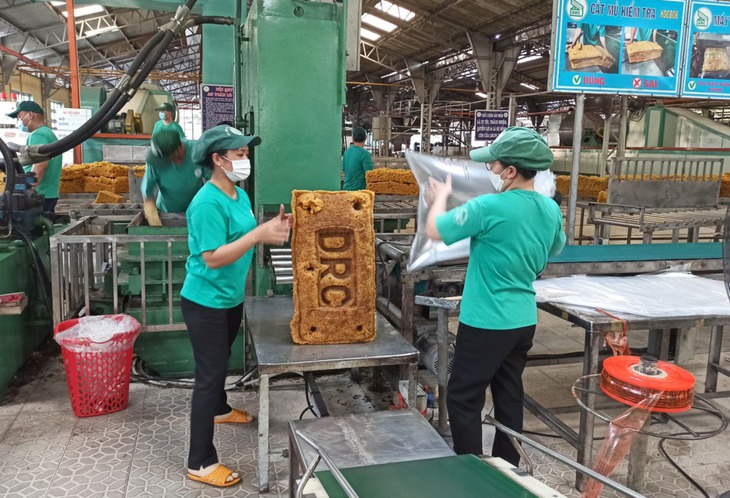 Bí thư Bình Dương: Sắp xếp, tinh gọn tổ chức bộ máy không được để ngắt quãng công việc- Ảnh 2.