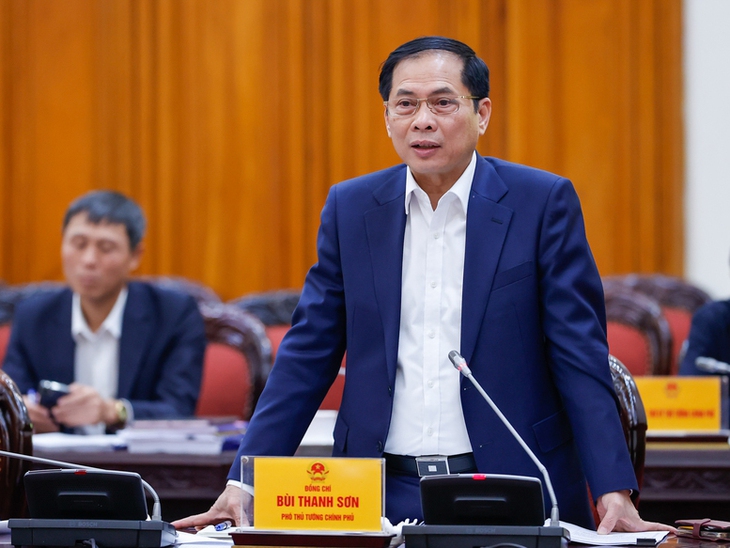Thủ tướng chủ trì phiên họp về dự thảo Đề án thành lập Đảng bộ Chính phủ- Ảnh 5.