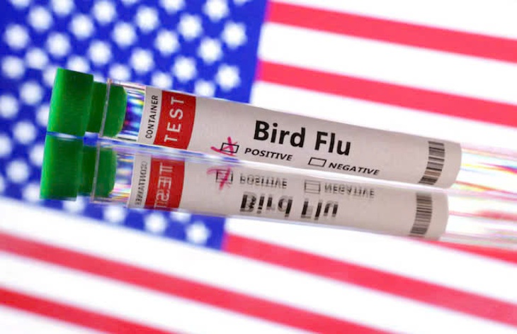 Mỹ có ca cúm gia cầm đầu tiên ở người, California ban bố tình trạng khẩn cấp- Ảnh 1. Mỹ có ca cúm gia cầm đầu tiên ở người, California ban bố tình trạng khẩn cấp- Ảnh 1.