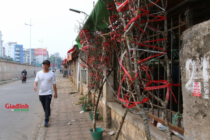 Đào Nhật Tân khoe sắc, xuống phố phục vụ người dân chơi Tết sớm- Ảnh 14.