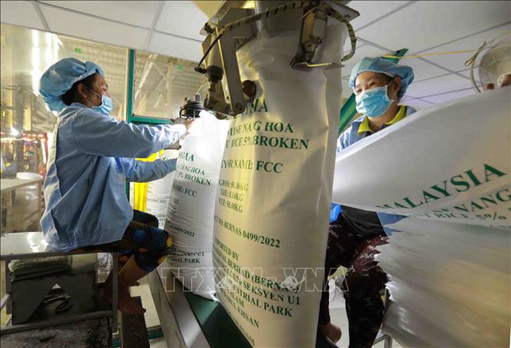 Thị trường nông sản: Giá gạo xuất khẩu tiếp tục biến động- Ảnh 1. Thị trường nông sản: Giá gạo xuất khẩu tiếp tục biến động- Ảnh 1.
