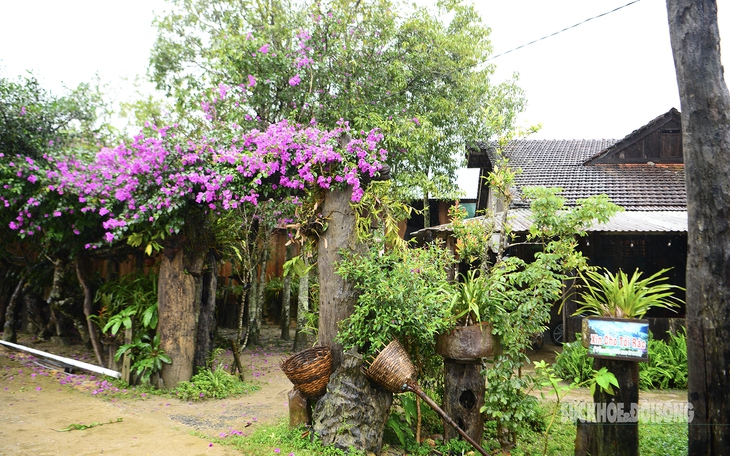 Mộc mạc làng cổ Vi Rơ Ngheo giữa núi rừng Tây Nguyên