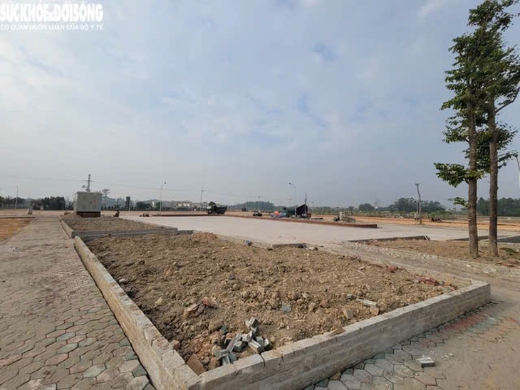 Lý do hoãn phiên đấu giá đất liên quan vụ trả giá 30 tỷ đồng/m2- Ảnh 1.