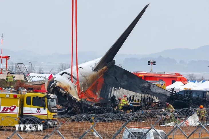 Va chạm với chim có phải là nguyên nhân gây ra vụ tai nạn máy bay Jeju Air ở Hàn Quốc?- Ảnh 1. Va chạm với chim có phải là nguyên nhân gây ra vụ tai nạn máy bay Jeju Air ở Hàn Quốc?- Ảnh 1.