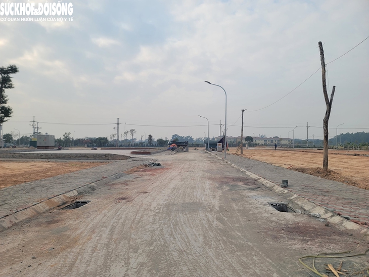 Giá đất quanh khu vực đấu giá được trả 30 tỷ đồng/m2 đang giao dịch thế nào?- Ảnh 2.