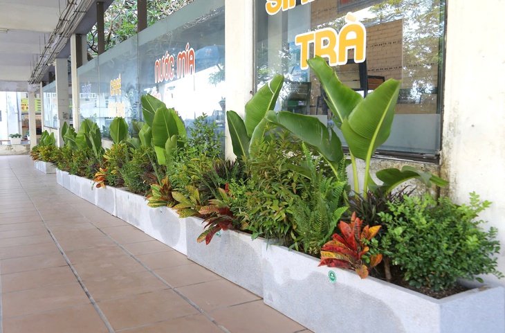 Bệnh viện giữa tâm bão Yagi chuyển mình 'sáng, xanh, sạch, đẹp'- Ảnh 1. Bệnh viện giữa tâm bão Yagi chuyển mình 'sáng, xanh, sạch, đẹp'- Ảnh 1.