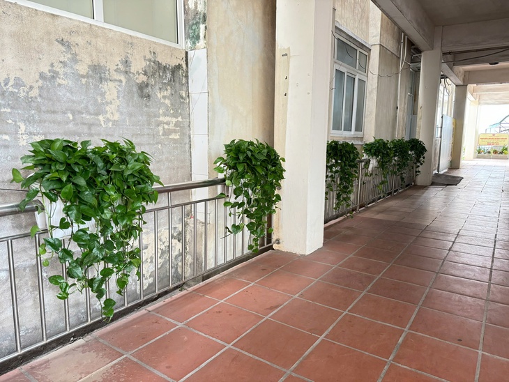 Bệnh viện giữa tâm bão Yagi chuyển mình 'sáng, xanh, sạch, đẹp'- Ảnh 3. Bệnh viện giữa tâm bão Yagi chuyển mình 'sáng, xanh, sạch, đẹp'- Ảnh 3.