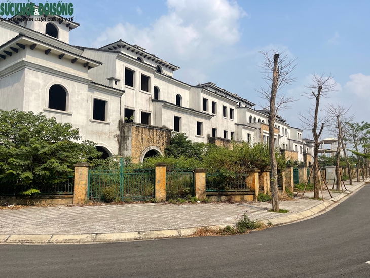 Loạt biệt thự triệu đô ở KĐT Nam An Khánh bị bỏ hoang- Ảnh 3. Loạt biệt thự triệu đô ở KĐT Nam An Khánh bị bỏ hoang- Ảnh 3.