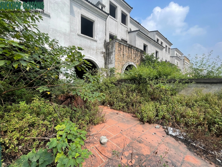 Loạt biệt thự triệu đô ở KĐT Nam An Khánh bị bỏ hoang- Ảnh 6. Loạt biệt thự triệu đô ở KĐT Nam An Khánh bị bỏ hoang- Ảnh 6.