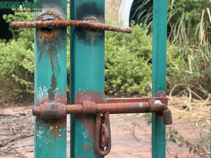 Loạt biệt thự triệu đô ở KĐT Nam An Khánh bị bỏ hoang- Ảnh 8. Loạt biệt thự triệu đô ở KĐT Nam An Khánh bị bỏ hoang- Ảnh 8.
