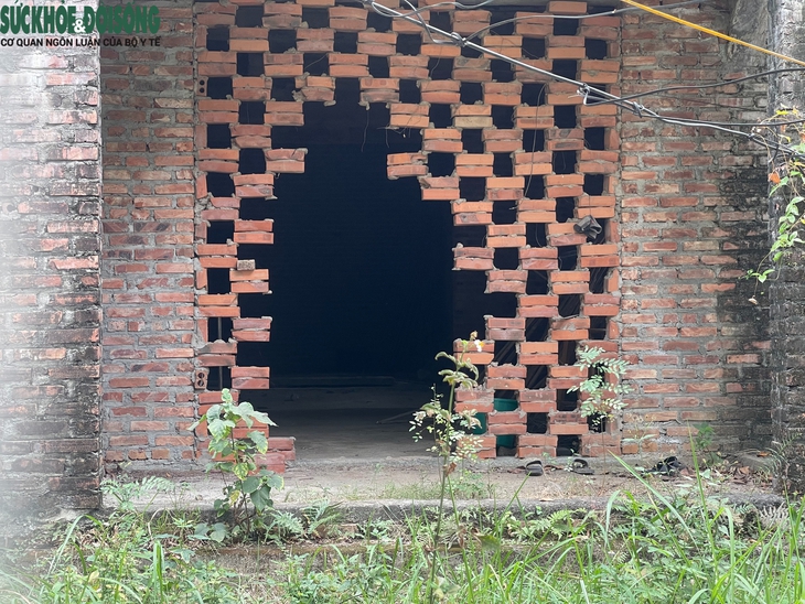 Loạt biệt thự triệu đô ở KĐT Nam An Khánh bị bỏ hoang- Ảnh 9. Loạt biệt thự triệu đô ở KĐT Nam An Khánh bị bỏ hoang- Ảnh 9.