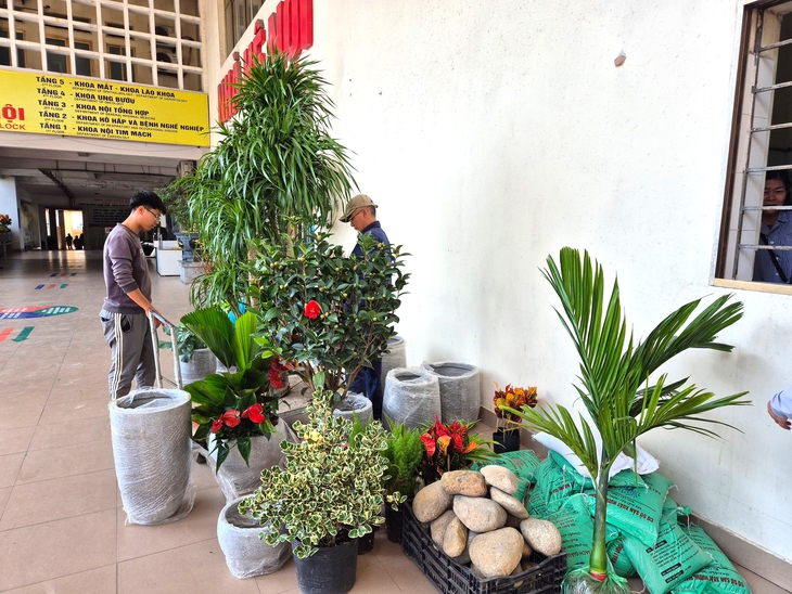 Bệnh viện giữa tâm bão Yagi chuyển mình 'sáng, xanh, sạch, đẹp'- Ảnh 8. Bệnh viện giữa tâm bão Yagi chuyển mình 'sáng, xanh, sạch, đẹp'- Ảnh 8.
