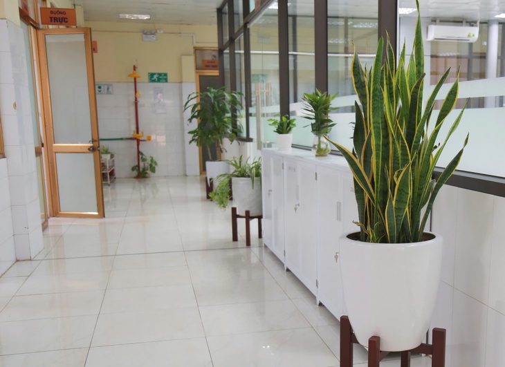 Bệnh viện giữa tâm bão Yagi chuyển mình 'sáng, xanh, sạch, đẹp'- Ảnh 6. Bệnh viện giữa tâm bão Yagi chuyển mình 'sáng, xanh, sạch, đẹp'- Ảnh 6.