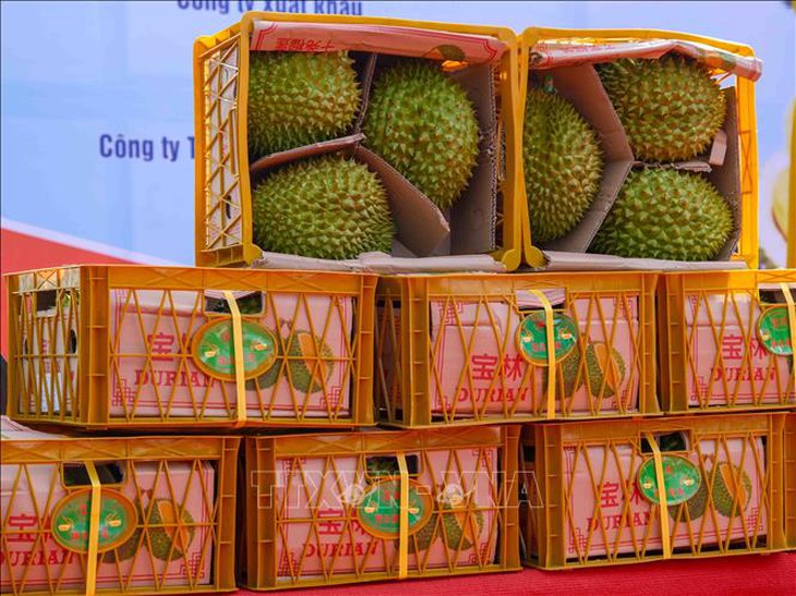 11 tháng, ngành nông nghiệp xuất siêu gần 16,5 tỷ USD- Ảnh 1. 11 tháng, ngành nông nghiệp xuất siêu gần 16,5 tỷ USD- Ảnh 1.