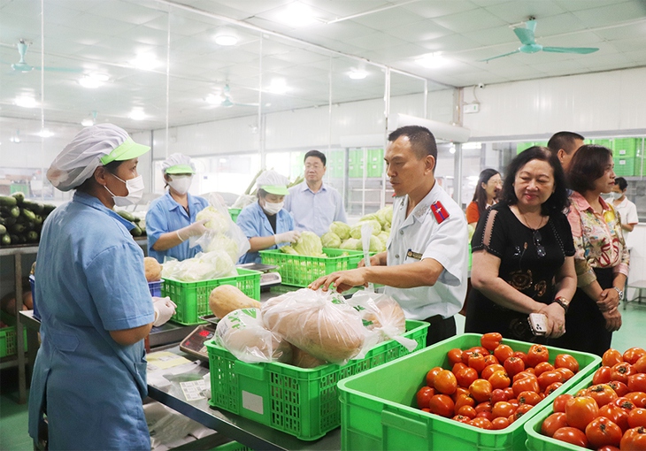 Kiên quyết đấu tranh, ngăn chặn, xử lý nghiêm vi phạm về an toàn thực phẩm- Ảnh 1. Kiên quyết đấu tranh, ngăn chặn, xử lý nghiêm vi phạm về an toàn thực phẩm- Ảnh 1.