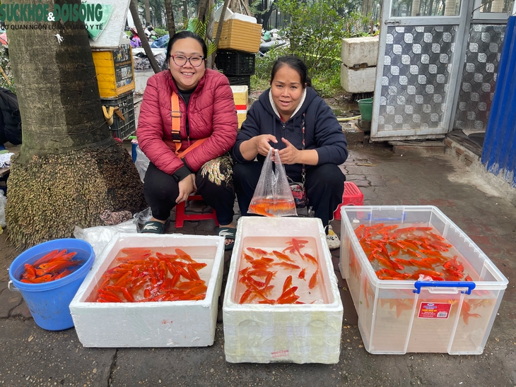 Thị trường ngày ông Công, ông Táo có gì mới?- Ảnh 3.