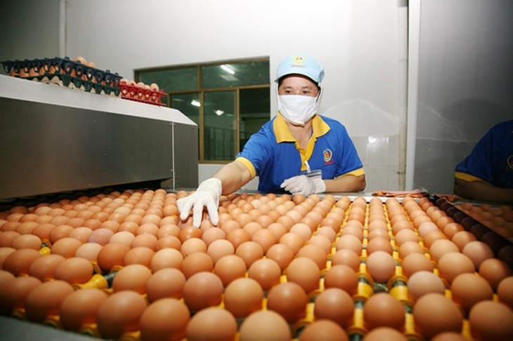 Những chính sách kinh tế mới có hiệu lực từ tháng 2/2024- Ảnh 1. Những chính sách kinh tế mới có hiệu lực từ tháng 2/2024- Ảnh 1.
