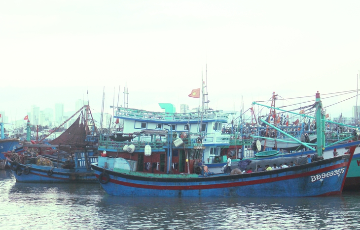 Ngư dân bám biển ngày Tết- Ảnh 4.