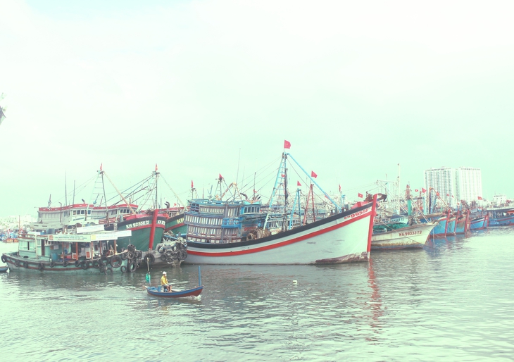 Ngư dân bám biển ngày Tết- Ảnh 2.