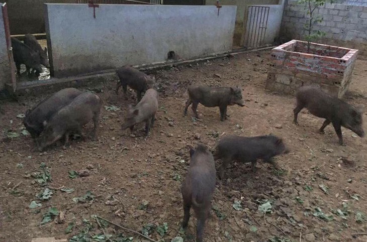 Lạ đời sản vật địa phương, thức quà quê gắn với tuổi thơ trở lại vào dịp Tết, thành món ngon 'độc lạ'- Ảnh 1. Lạ đời sản vật địa phương, thức quà quê gắn với tuổi thơ trở lại vào dịp Tết, thành món ngon 'độc lạ'- Ảnh 1.